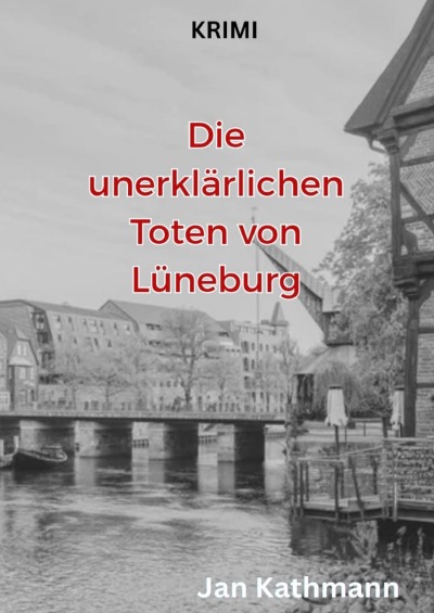 'Cover von Die unerklärlichen Toten von Lüneburg'-Cover