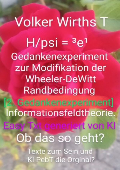 'Cover von 2. Gedankenexperiment zur Modifikation der Wheeler-DeWitt-Randbedingung = ³e¹'-Cover