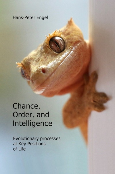 'Cover von Chance, Order, and Intelligence'-Cover