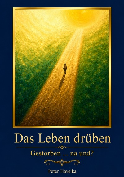 'Cover von Das Leben Drüben'-Cover