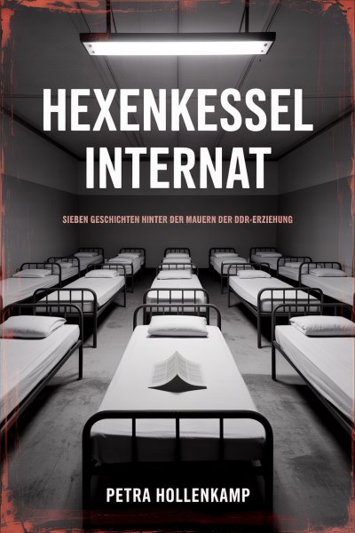 'Cover von Hexenkessel Internat'-Cover