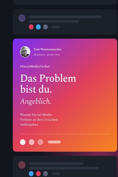 'Cover von Das Problem bist du. Angeblich.'-Cover