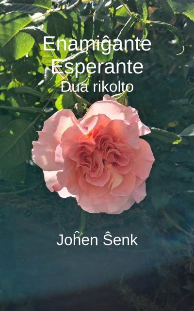 'Cover von Enamigxante Esperante 2'-Cover