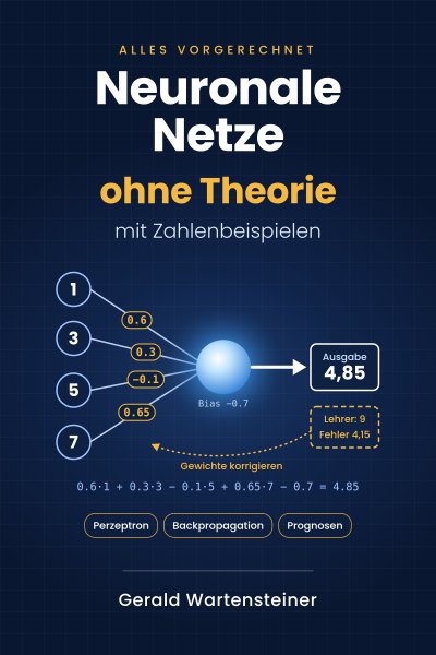 'Cover von Neuronale Netze ohne Theorie'-Cover