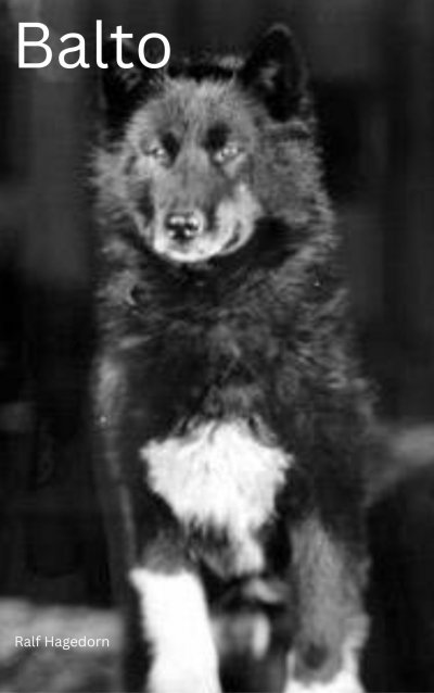 'Cover von Balto'-Cover