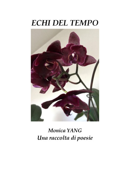 'Cover von Echi del tempo'-Cover