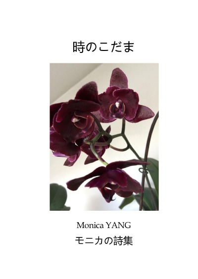 'Cover von 時のこだま'-Cover