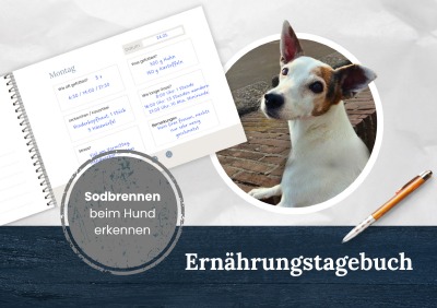 'Cover von Ernährungstagebuch für Hunde: Sodbrennen erkennen, Futterunverträglichkeiten aufspüren und endlich Muster statt Zufall bei der Fütterung deines Hundes'-Cover
