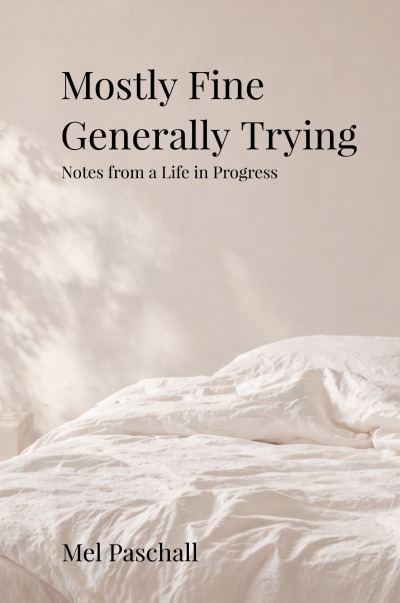 'Cover von Mostly Fine, Generally Trying'-Cover