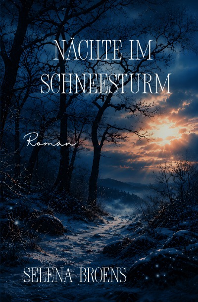 'Cover von Nächte im Schneesturm'-Cover