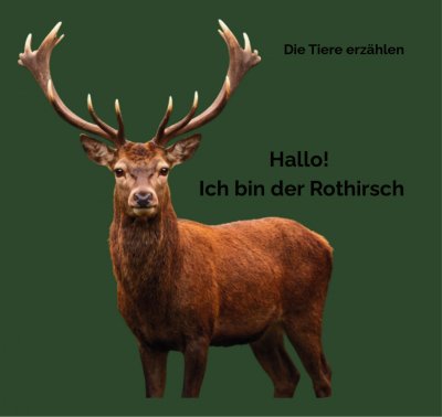 'Cover von Hallo! Ich bin der Rothirsch'-Cover