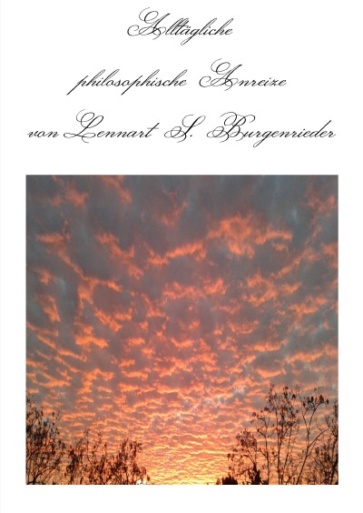 'Cover von Alltägliche philosophische Anreize'-Cover