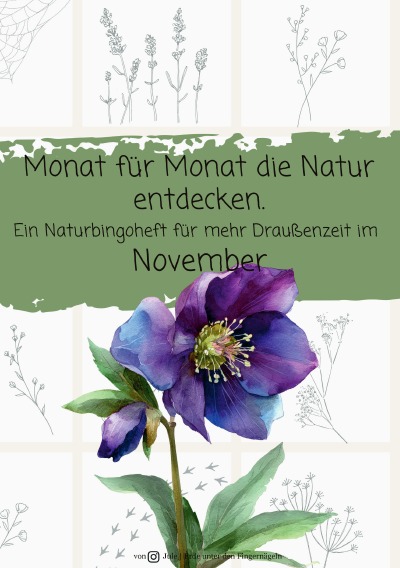 'Cover von Monat für Monat die Natur entdecken – November'-Cover