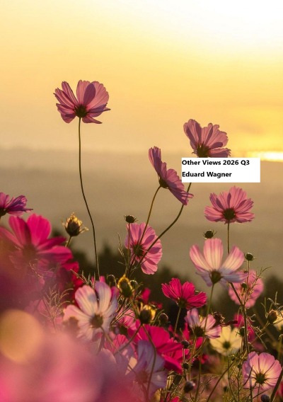 'Cover von Other Views 2026 Q3'-Cover
