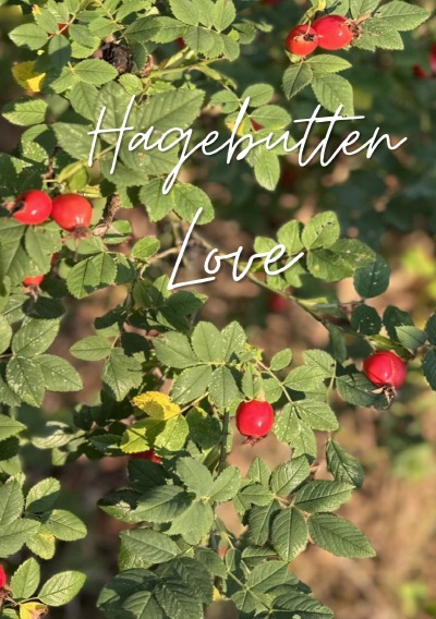 'Cover von Hagebutten Love.'-Cover