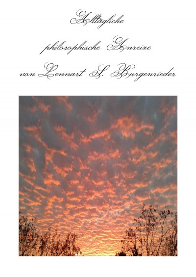 'Cover von Alltägliche philosophische Anreize'-Cover