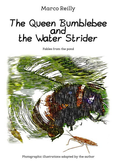 'Cover von The Queen Bumblebee and the Water Strider'-Cover
