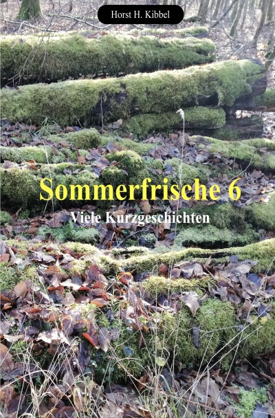 'Cover von Sommerfrische 6'-Cover