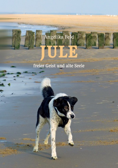 'Cover von Jule – freier Geist und alte Seele'-Cover