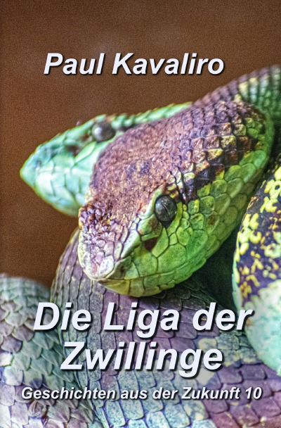 'Cover von Die Liga der Zwillinge'-Cover