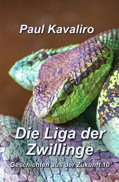 'Cover von Die Liga der Zwillinge'-Cover