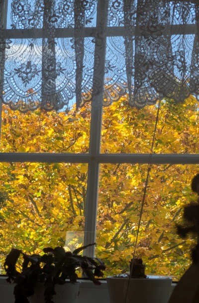 'Cover von Die herbstgedichte'-Cover