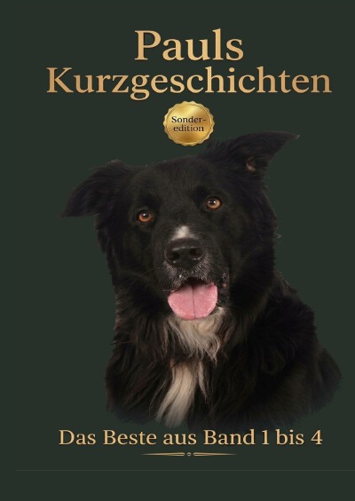 'Cover von Pauls Kurzgeschichten – Das Bste aus Band 1 – 4'-Cover