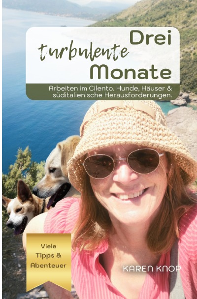 'Cover von Drei turbulente Monate.'-Cover