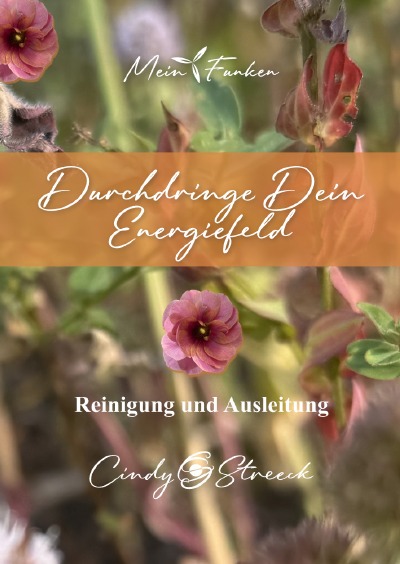'Cover von Durchdringe Dein Energiefeld'-Cover