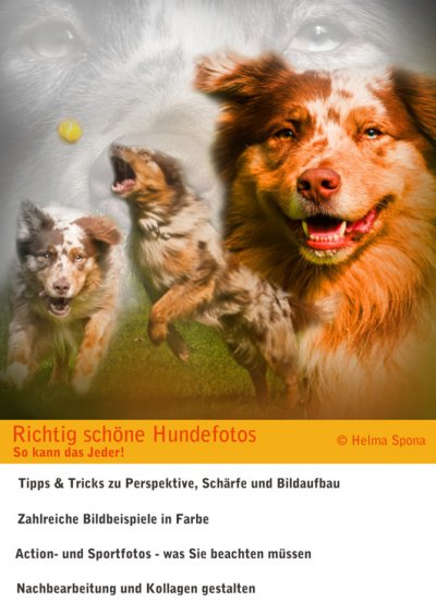 'Cover von Richtig schöne Hundefotos'-Cover