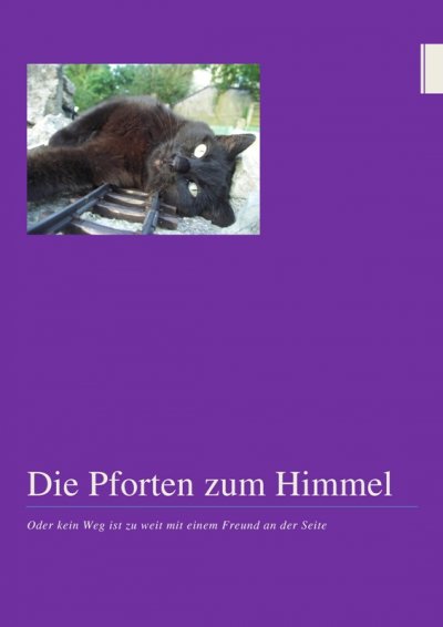'Cover von Die Pforten zum Himmel'-Cover