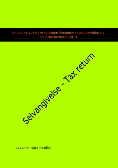 'Cover von Anleitung zur Norwegischen Einkommensteuererklärung für Arbeitnehmer 2013'-Cover