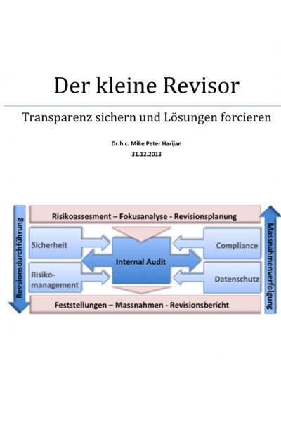 'Cover von Der kleine Revisor – Transparenz sichern Lösungen forcieren'-Cover