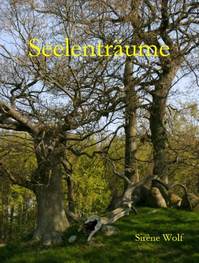 'Cover von Seelenträume'-Cover