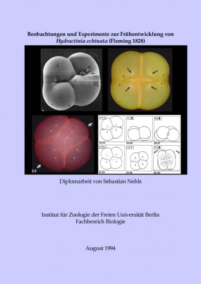 'Cover von Beobachtungen und Experimente zur Frühentwicklung von Hydractinia echinata (Fleming 1828)'-Cover