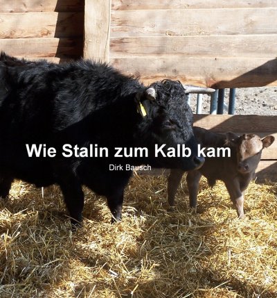 'Cover von Wie Stalin zum Kalb kam'-Cover