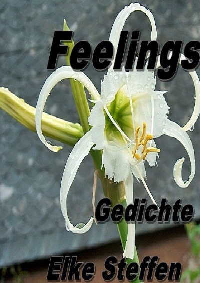 'Cover von Feelings Gedichte'-Cover