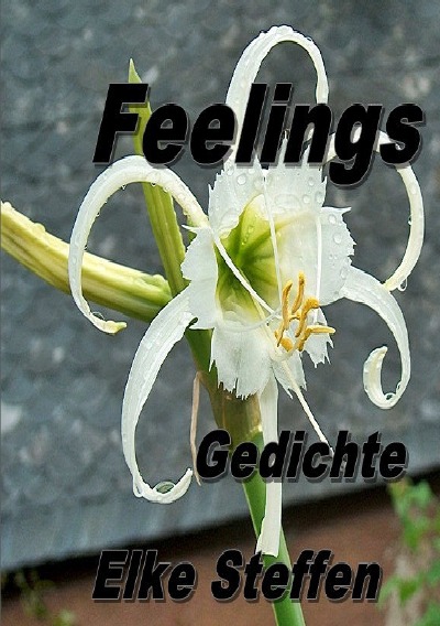 'Feelings Gedichte'-Cover