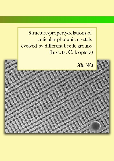 'Cover von Structure-property-relations of cuticular photonic crystals evolved by different beetle groups (Insecta, Coleoptera)'-Cover