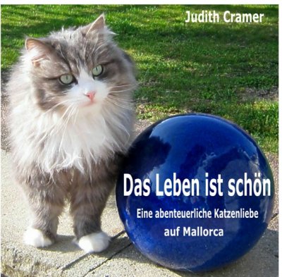 'Cover von Das Leben ist schön'-Cover