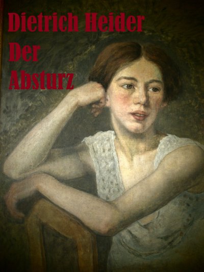 'Cover von Der Absturz'-Cover
