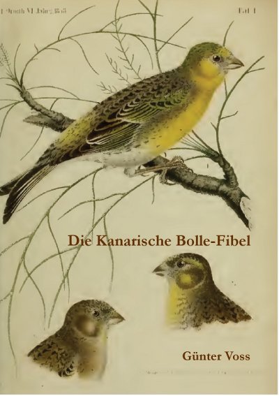 'Cover von Die Kanarische Bolle-Fibel'-Cover