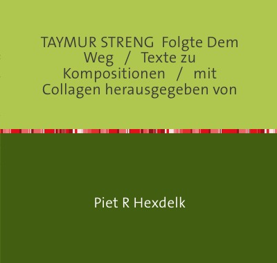 'TAYMUR STRENG  Folgte Dem Weg'-Cover
