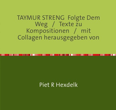 'Cover von TAYMUR STRENG  Folgte Dem Weg'-Cover