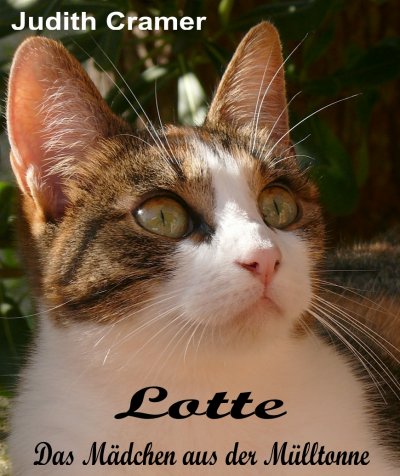 'Lotte'-Cover