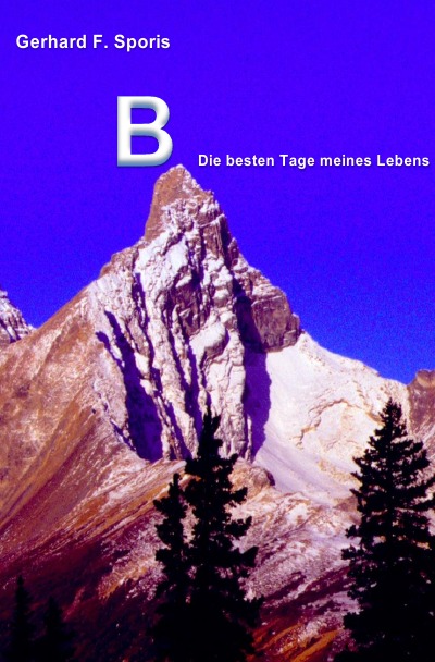'B – Die besten Tage meines Lebens'-Cover