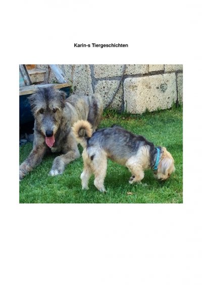 'Cover von Karin’s Tiergeschichten'-Cover