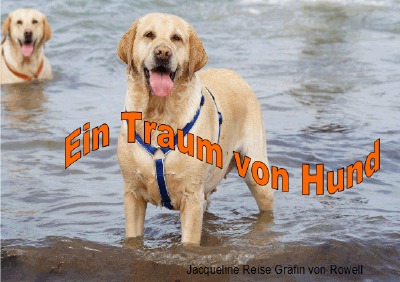 'Cover von Ein Traum von Hund'-Cover