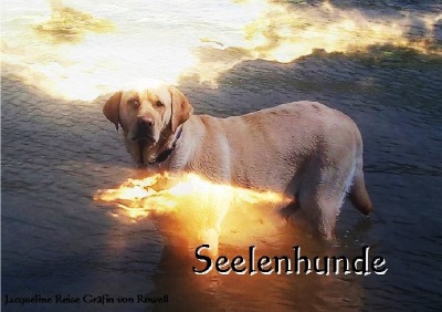 'Cover von Seelenhunde'-Cover