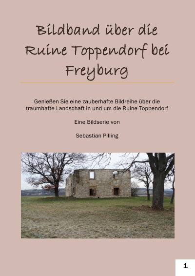 'Cover von Bildband über die Ruine Toppendorf bei Freyburg'-Cover
